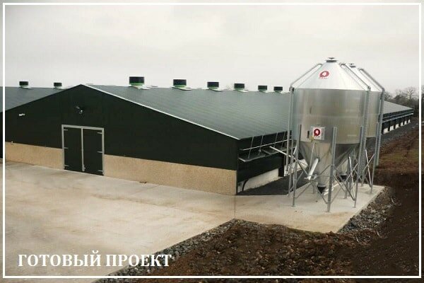 Этапы возведения птицефабрики от завода ВелесТент-нль